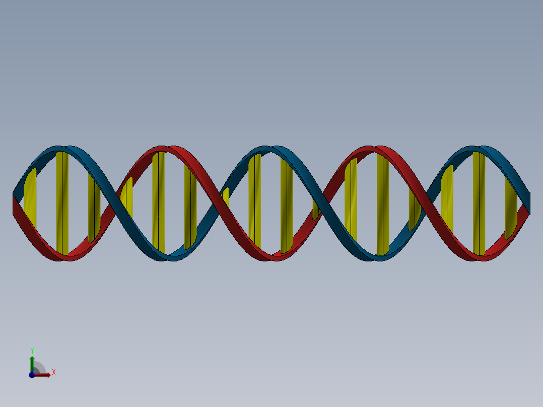 DNA双螺旋链前视图