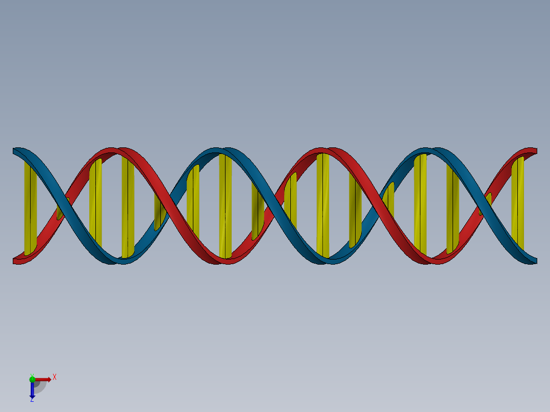DNA双螺旋链俯视图