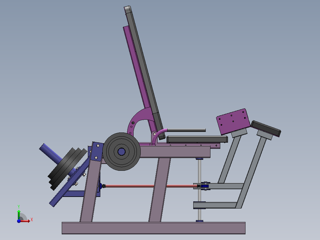 大腿肌肉的训练师前视图