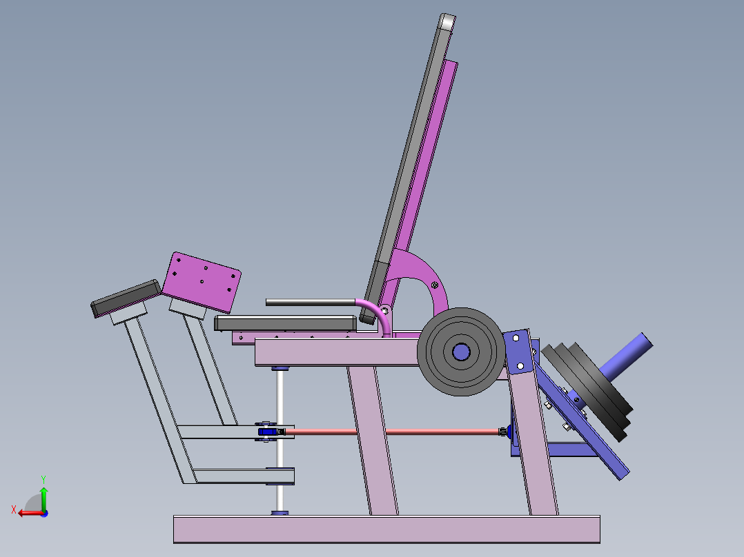 大腿肌肉的训练师后视图