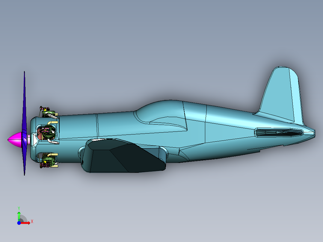 二战时期的海盗舰载机前视图