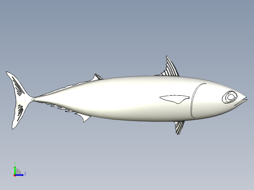 鲭鱼 金枪鱼左视图