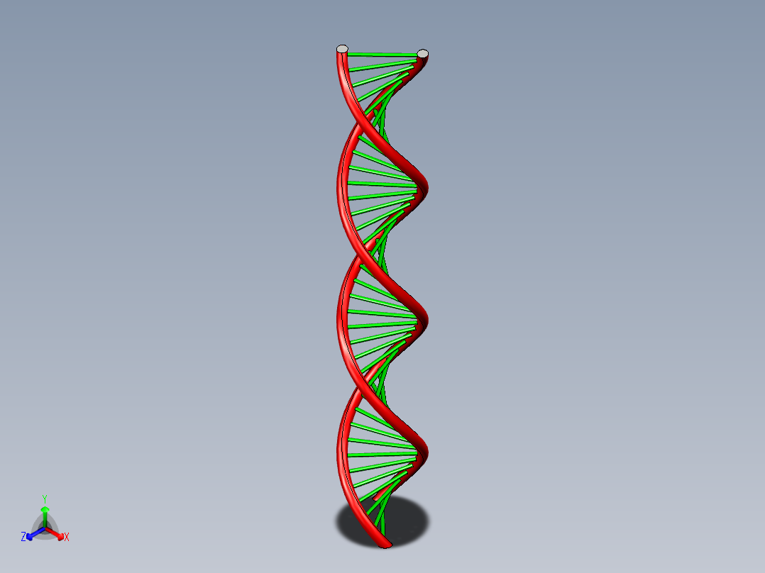 DNA基因染色体10